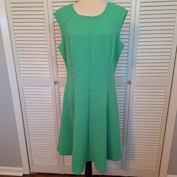 Sandra Darren textured for and flare dress sz 16 - Picture 4 of 8